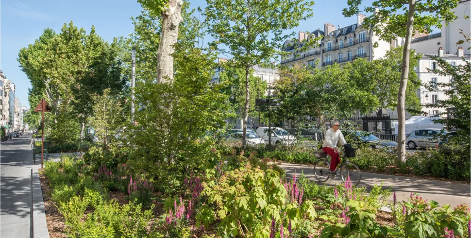 Les Allées de Neuilly © ILEX@KAROLINA-SAMBORSKA