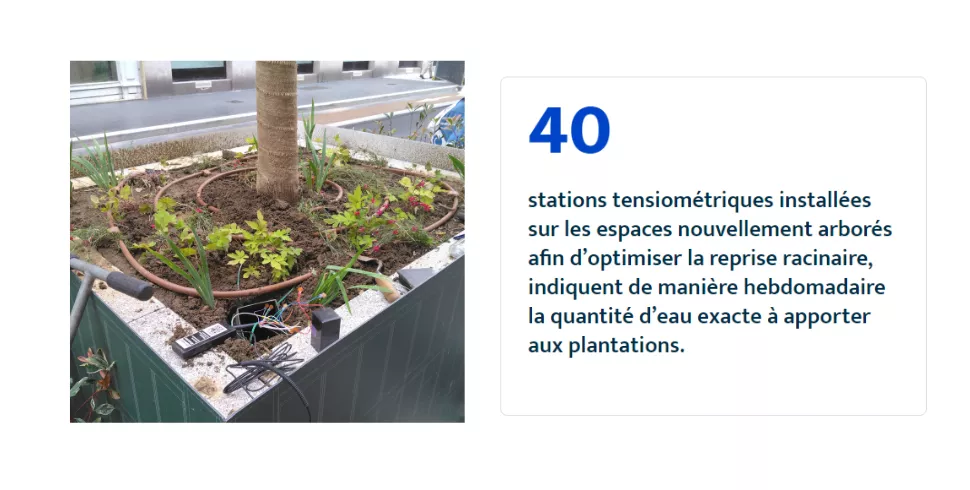 40 stations tensiométriques installées sur les espaces nouvellement arborés afin d'optimiser la reprise racinaire, indiquent de manière hebdomadaire la quantité d'eau exacte à apporter aux plantations © 