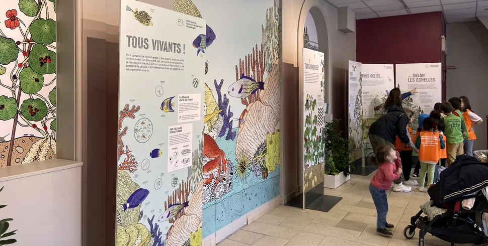 Exposition Biodiversités - Elèves de l'école Michelis - Mars 2024 © 